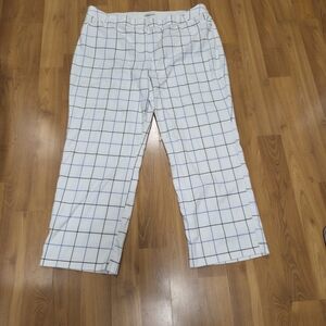 Cato Womens White and Blue Grid Dress Slacks
